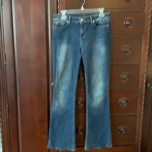 Joe’s Visionaire Fit Jean